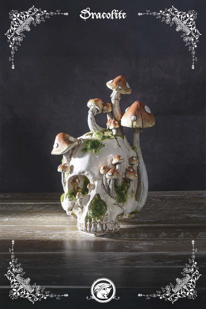 Mushroom Skull
