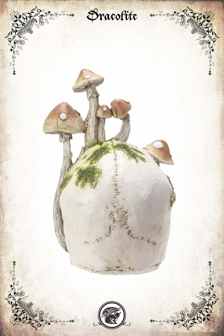 Mushroom Skull