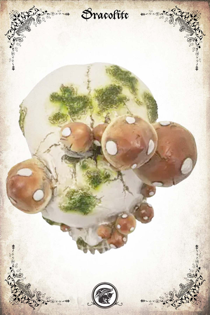 Mushroom Skull