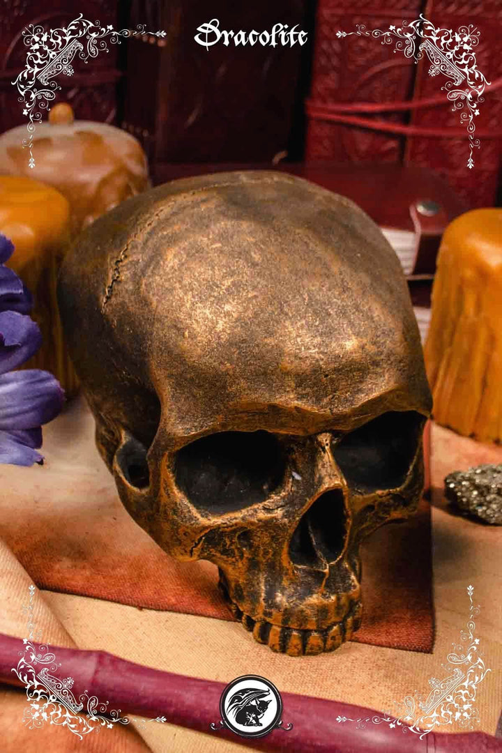 Bronze Skull (without jaw)