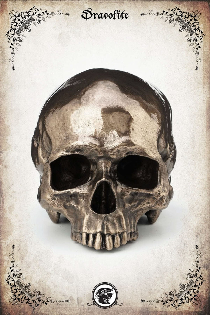 Bronze Skull (without jaw)