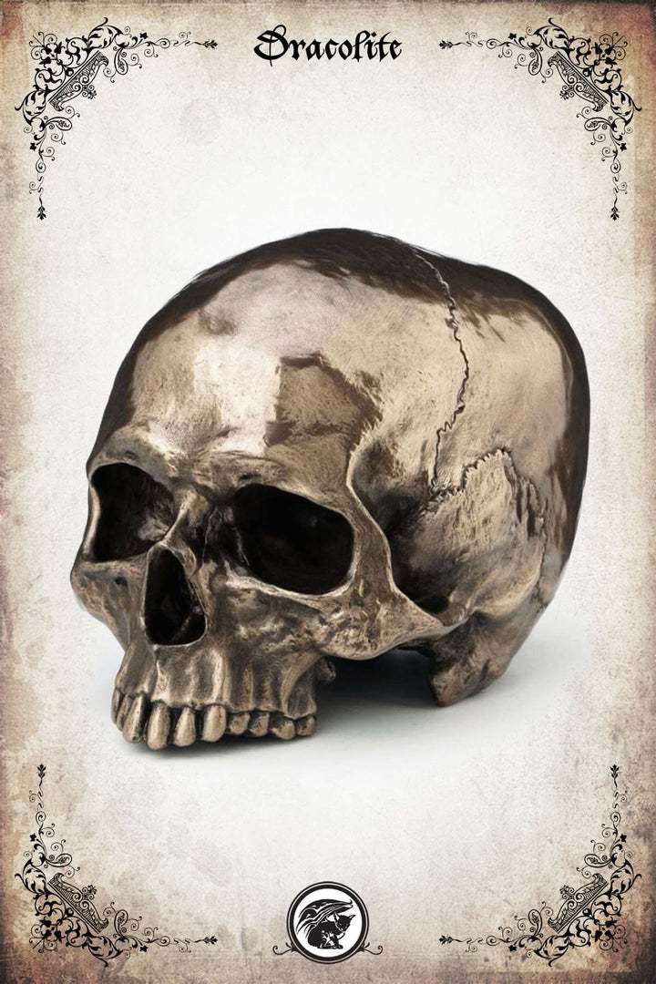 Bronze Skull (without jaw)