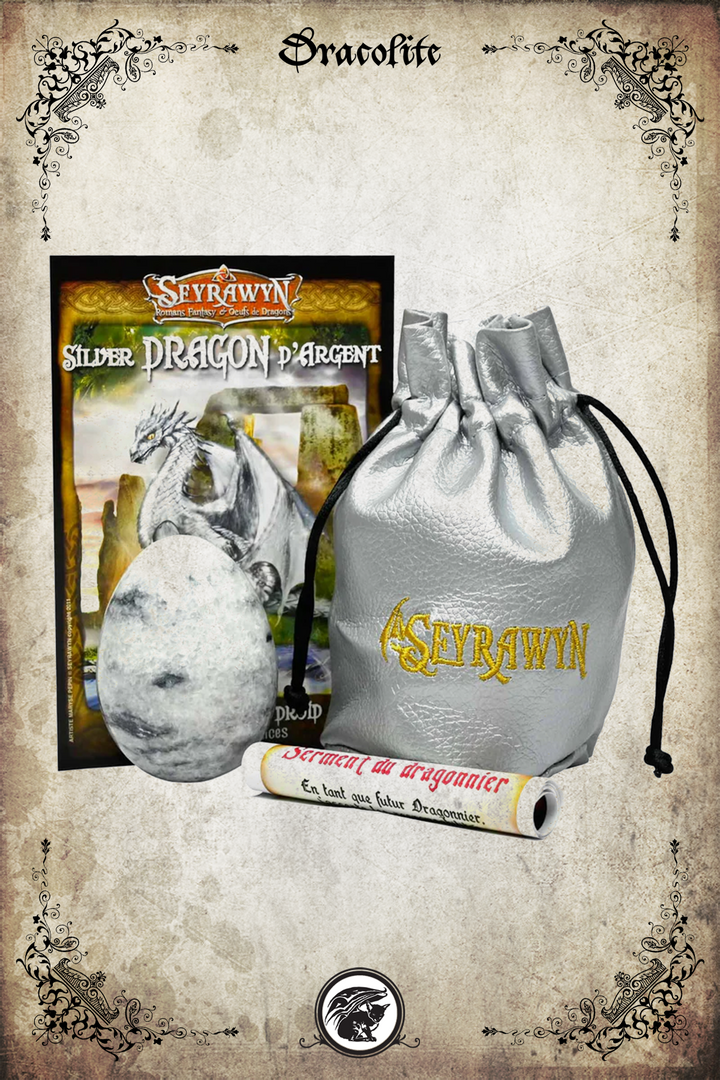 Dragon Egg and Pouch Set