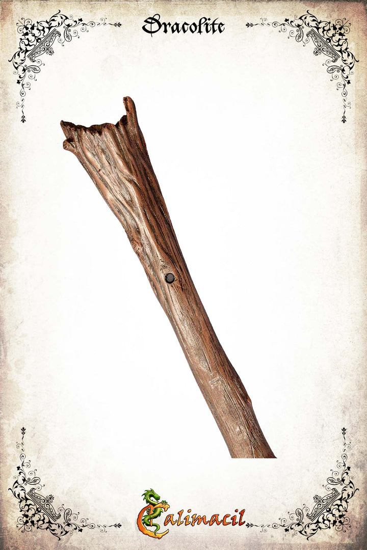 Pilgrim: The Traveler's Staff