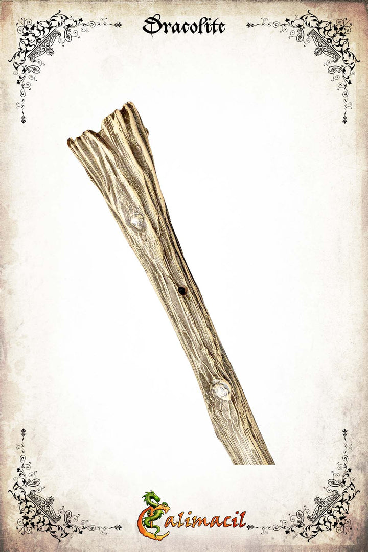 Pilgrim: The Traveler's Staff