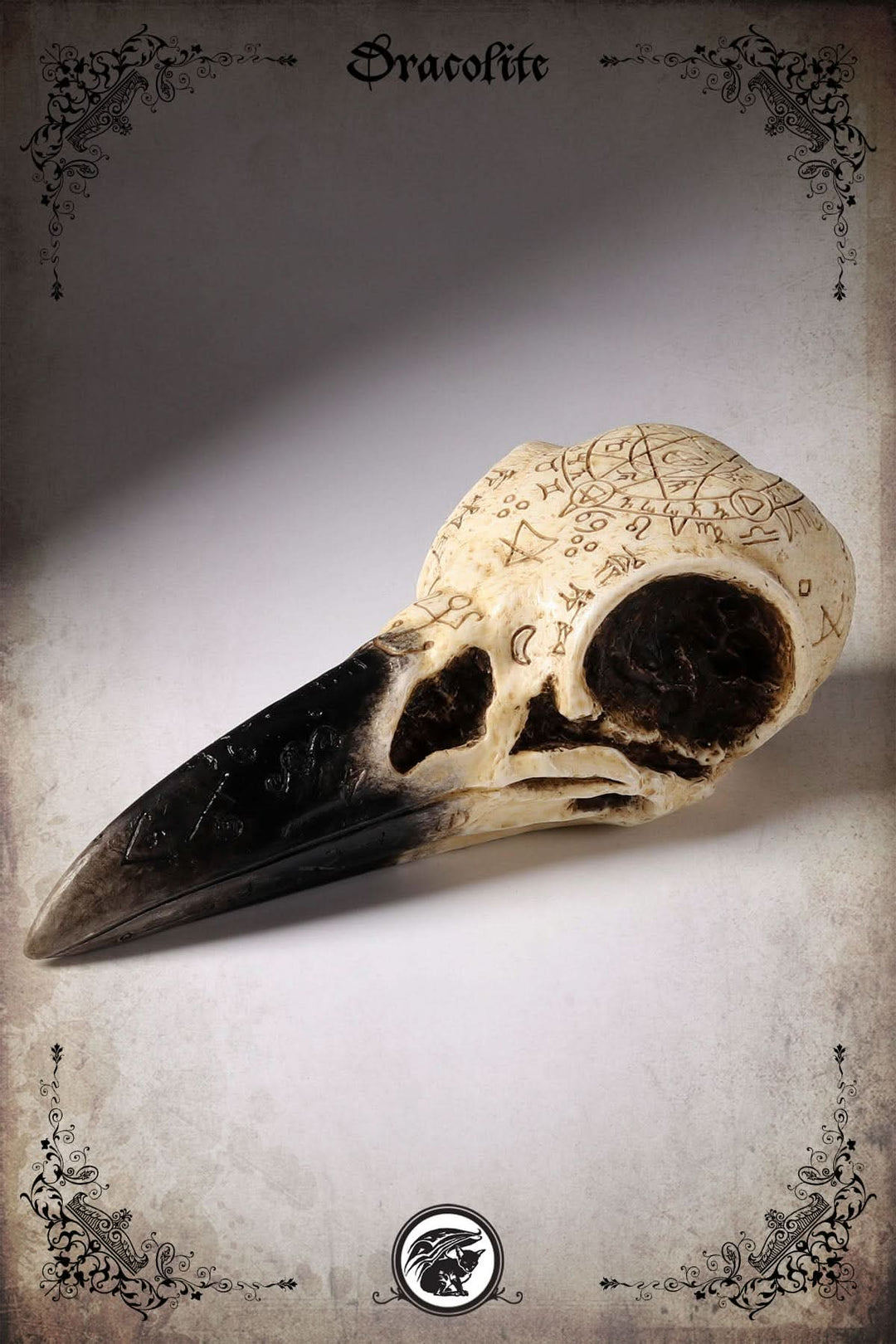 Mystical Raven Skull