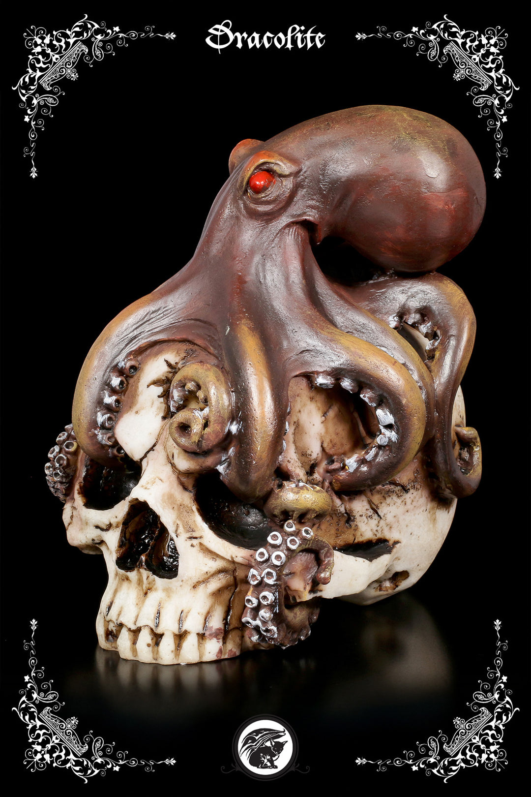 Octopus on Skull