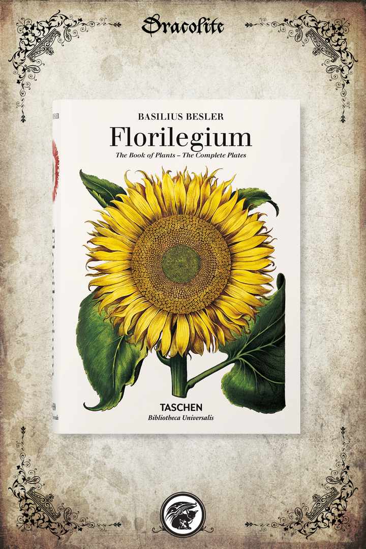 Florilegium, the book of plants - Basilius Besler