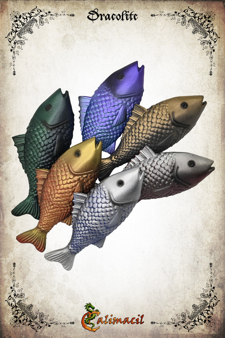 Fish - Catch of the Day